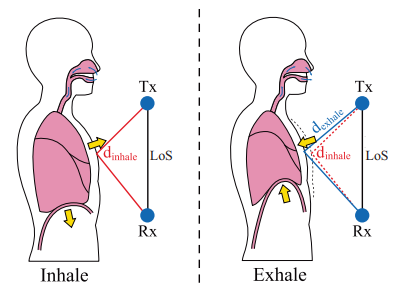 LungTrack: Towards Contactless and Zero Dead-Zone Respiration Monitoring with Commodity RFIDs