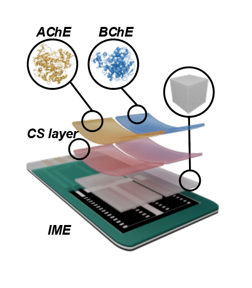 Hornbill: A Portable, Touchless, and Battery-Free Electrochemical Bio-tag for Multi-pesticide Detection